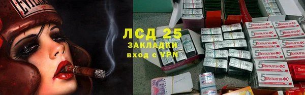 ГАЛЛЮЦИНОГЕННЫЕ ГРИБЫ Арсеньев