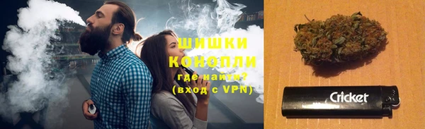 ГАЛЛЮЦИНОГЕННЫЕ ГРИБЫ Арсеньев