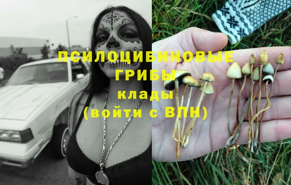 винт Аркадак